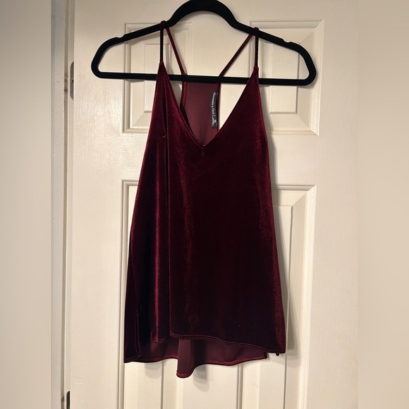 Abercrombie & Fitch Tops - Abercrombie & Fitch Velvet Tank Top